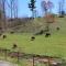 Seaboard Coastline #0887: Sleep in a caboose on a bison ranch - Clyde