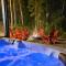 Chalet Montana Tremblant 4BR w Hot Tub - La Conception