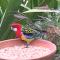 Nature Retreat & Artists Studio 90mins from Sydney