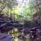 Nature Retreat & Artists Studio 90mins from Sydney
