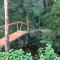 Nature Retreat & Artists Studio 90mins from Sydney