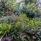 Blue Mountains Bliss Cottages Katoomba - Rosebud