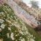 Porto South Beach, Sea & Pool View - شاليهات مودرن راقية بورتو ساوث بيتش فيو البحر والبيسين - Ajn Suchna
