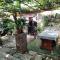 Rural Pension Istra Partner