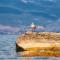 Park Lakeside Ohrid