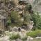 Sangla Valley Camping