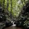 HADCO Experiences at Asa Wright Nature Centre