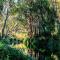 Tiny Creekside Cabin by Tiny Away