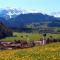 Top! Wohnung direkt am Fuß der Berge im Oberallgäu