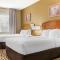 Comfort Inn & Suites Chesapeake - Portsmouth - 切萨皮克