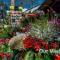 OurMadeira - Heart of Old Town II