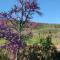 Gite de Mailhac