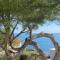 Cap d Antibes Villa contemporaine pied dans l eau - 昂蒂布