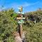 Summer Salt by Pristine Properties Vacation Rentals
