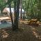 Timberline Lula - Site 5