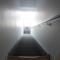 HoMa Homestay Hotel by Olympic Stadium Montreal Auberge-Hostel