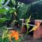 AURORA apartment in Tepoztlan - Tepoztlán