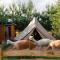 Glamping - Projekt Alpaka - Garbatka-Letnisko