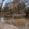 Tiny House 3 at Grampians Edge - Dadswells Bridge