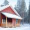 Holiday in Lapland - Sointuilevi A59 - Levi