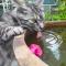 kokos garden and cats --4mins walk from jingjusi metro st ation, English-speaking service