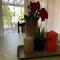 Apartment Vila Tara