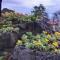Apartment Lilly in Rijeka with Amazing View