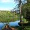 Chalet Wickie