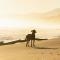 Surf and Yoga Retreat for Groups Near Cab!
