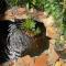 Beautiful river view guesthouse
