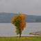 Studio Apartments Lipno 22, 24
