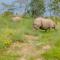 Hotel Tiger Tops Sauraha