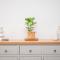 Greenwich House 10 mins to O2 - Free Parking Pass the Keys - Londra
