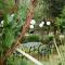 Worlds Apart - River Front Guest Farm & Camping - Bonnievale