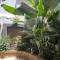 Cal Bed & Breakfast Ibague
