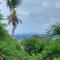 Romantic SWEETY COTTAGE WITH ITS PRIVATE POOL & GEORGEOUS VIEW - 圣马丁岛