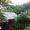 Forest Guesthouse