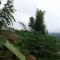 Forest Guesthouse