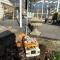 Cambridge Cottage - Self Catering Holiday House