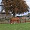 Ashton lodge farm