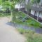 Apartamente Neptun Bosco