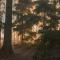 Tiny Houses Bij De Compagnons