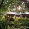 Tiny Houses Bij De Compagnons
