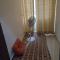 Room in Dehradun with attached Toilet and kitchen