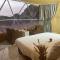 SARAB Luxury Camp