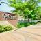 Comfy 1 Bedroom with Netflix & Free Wifi - Trees Residences Condominium - 马尼拉