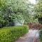 Silk Tree Studio - Steps to Cook Park
