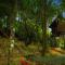 Regina Silva Jungle Resort - Paithalmala