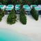 Dhigali Maldives - A Premium All-Inclusive Resort - Raa Atoll