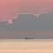 Le Sunset - Face mer - 维姆勒